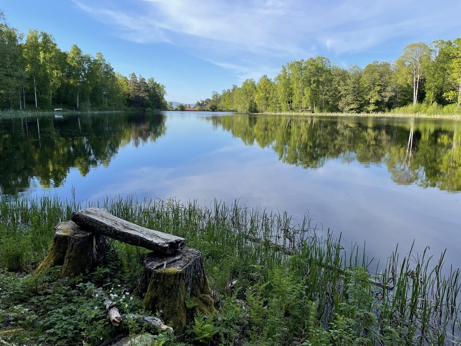 Nærområdet (privat foto). Galleribilde