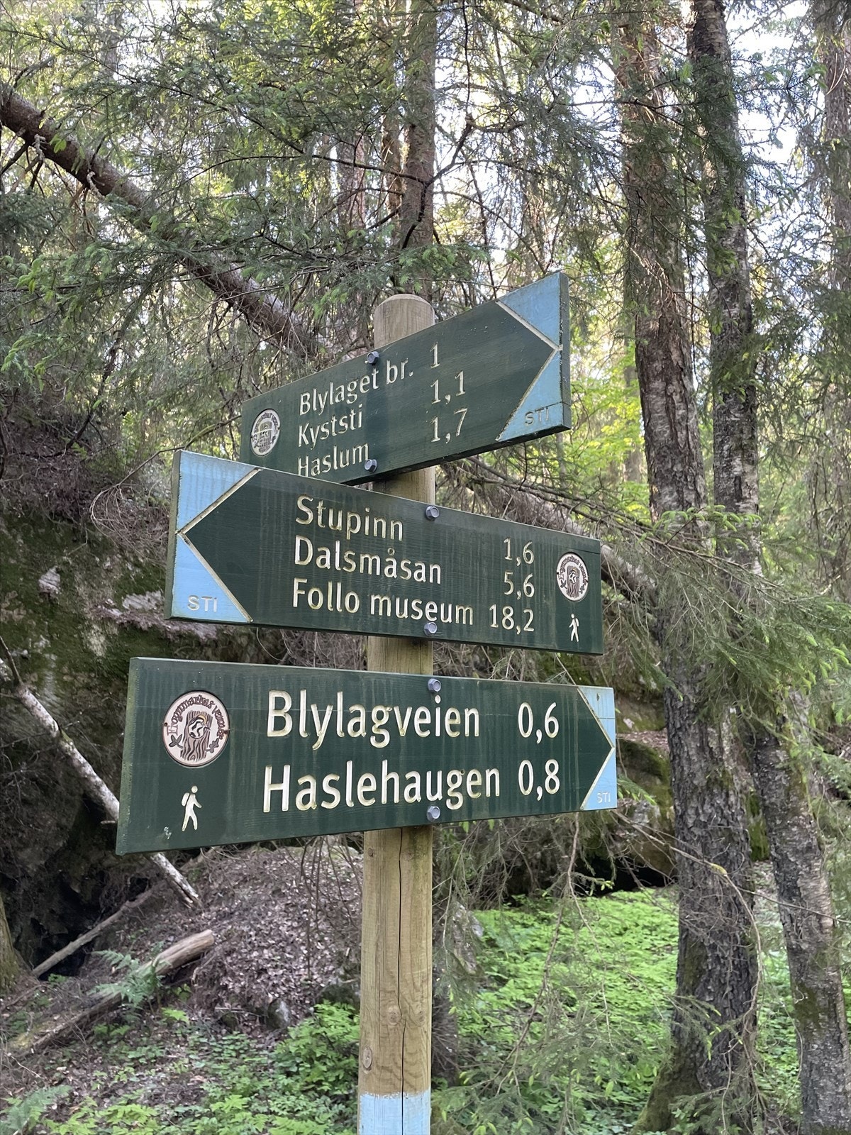 Nærområdet (privat foto). Galleribilde