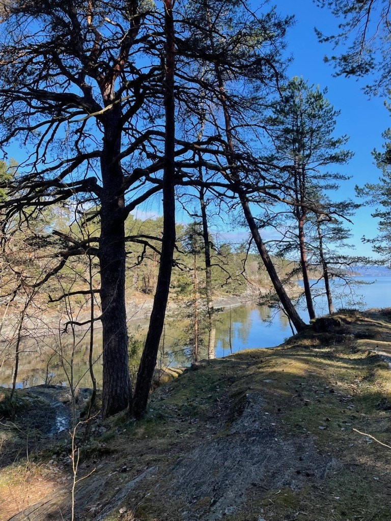 Sindingbukta (privat foto). Galleribilde