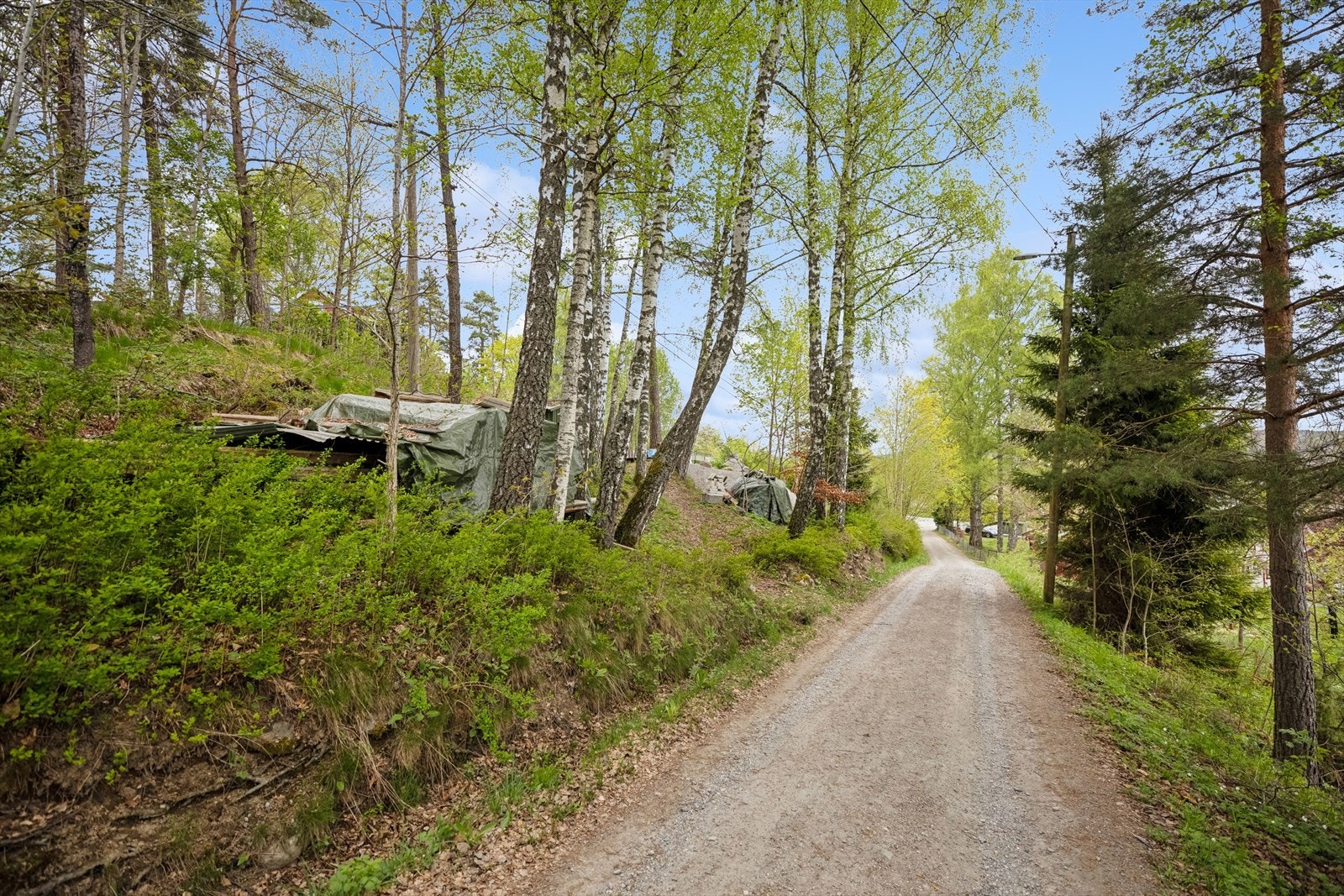 Det er nydelige turområder i umiddelbar nærhet (privat foto). Galleribilde