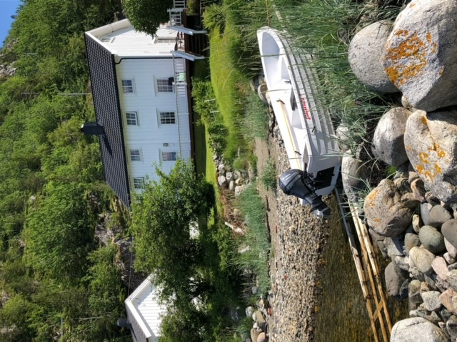 Selgers bilde av fjæra Galleribilde