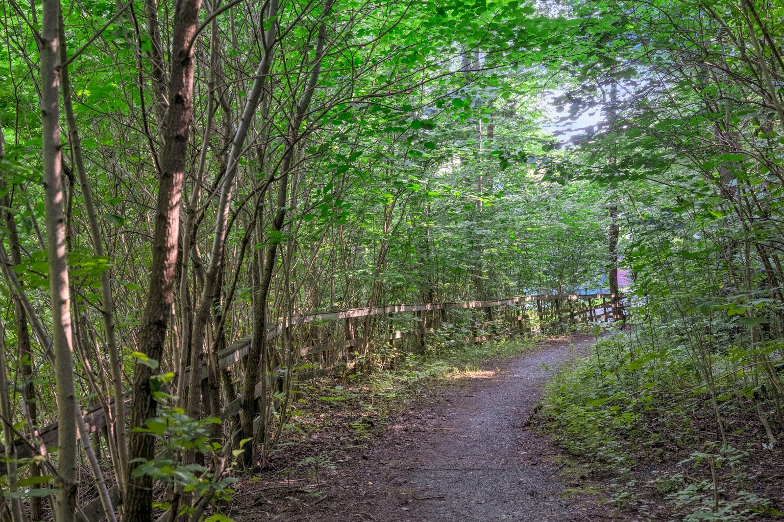 Her i Bjerkås terrasse bor du med flotte turmuligheter rett utenfor døren. Galleribilde