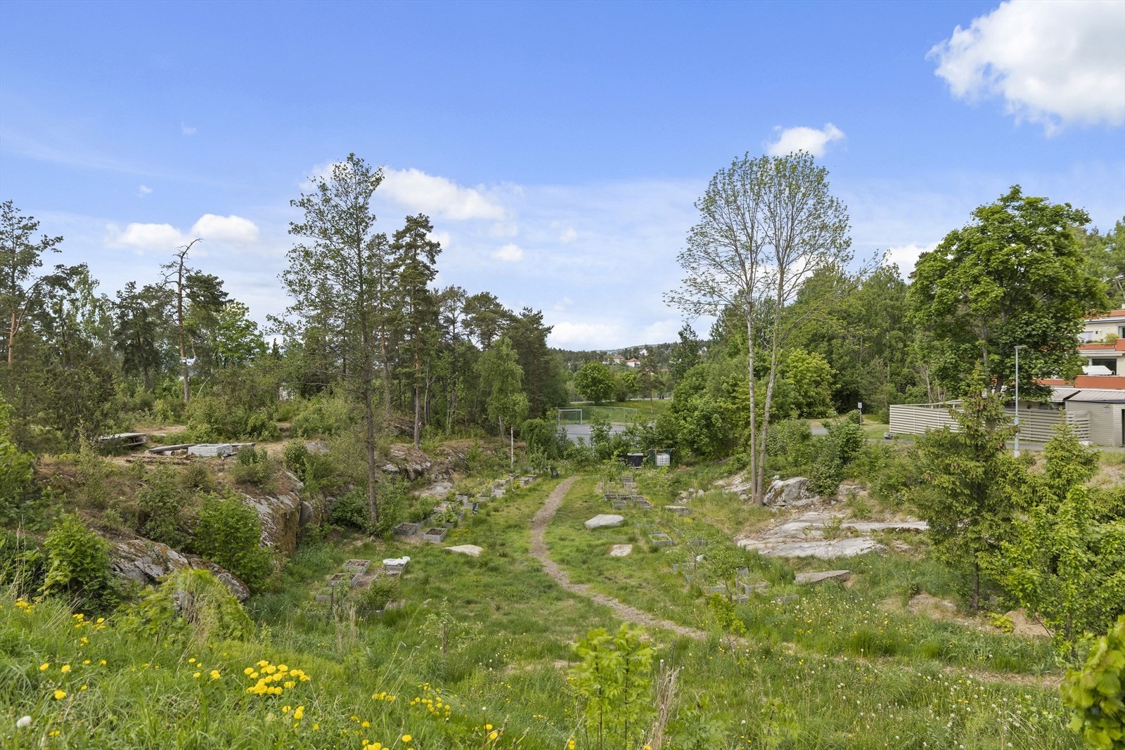 Fine turmuligheter og ballbaner for de aktive. Galleribilde