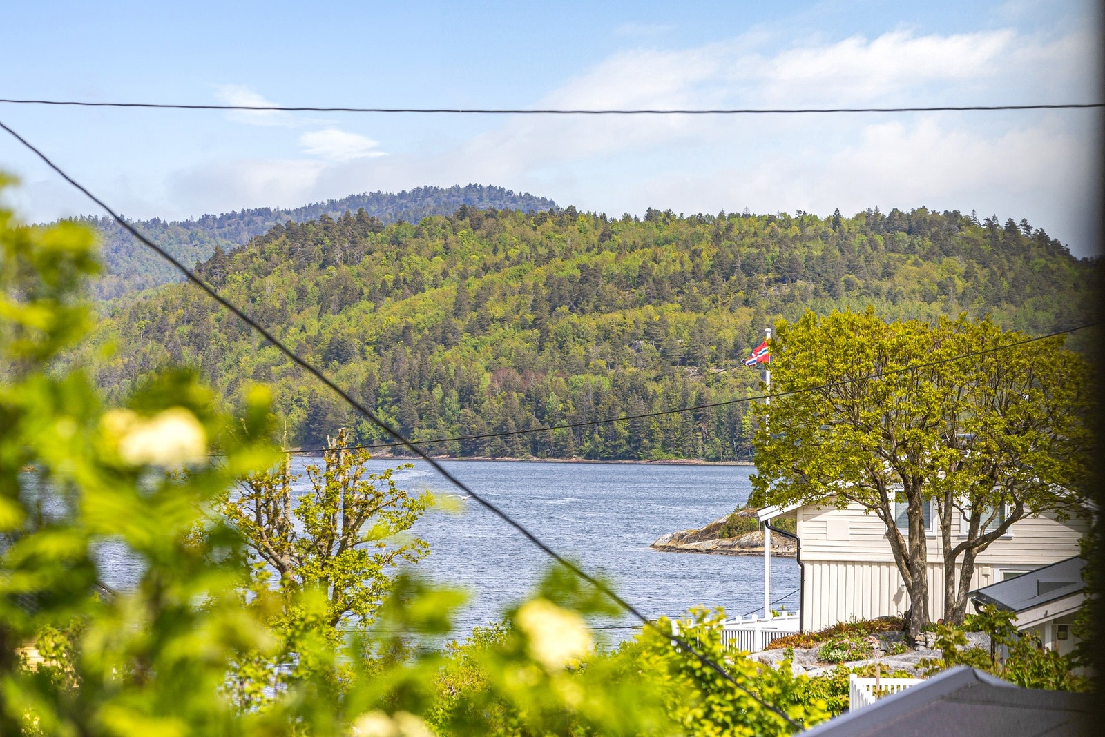 Utsikt fra inngangsparti Galleribilde