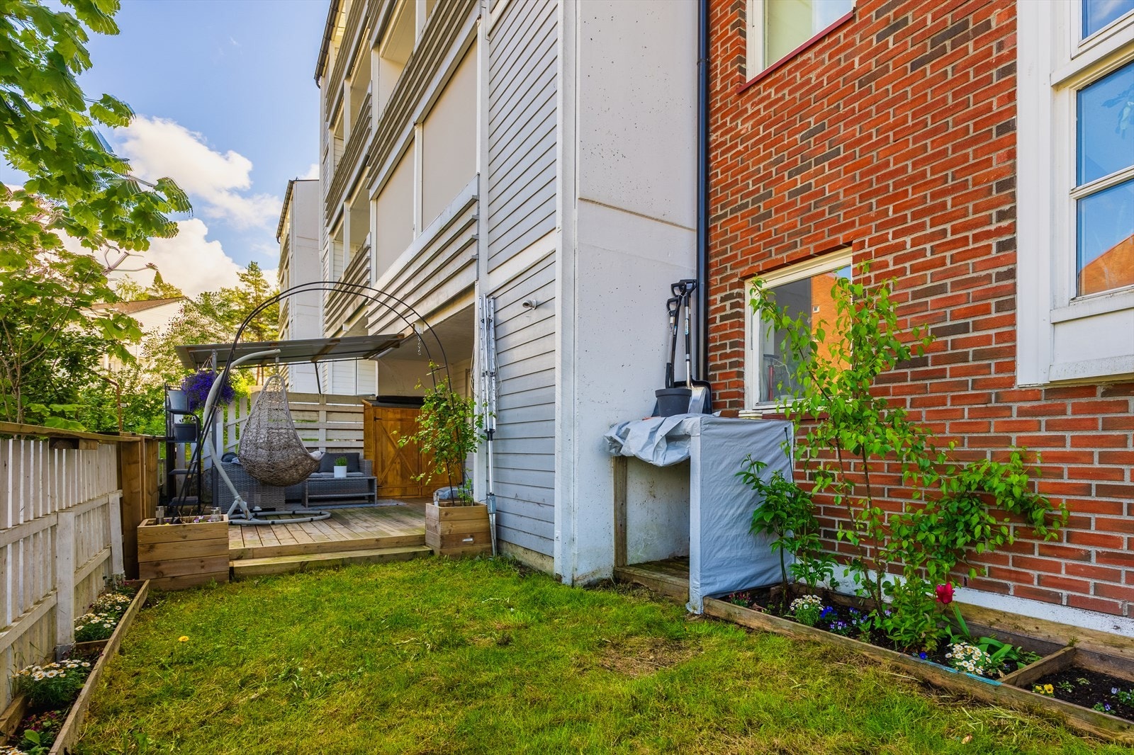 La barna lege i hagen i trygge omgivelser... Galleribilde