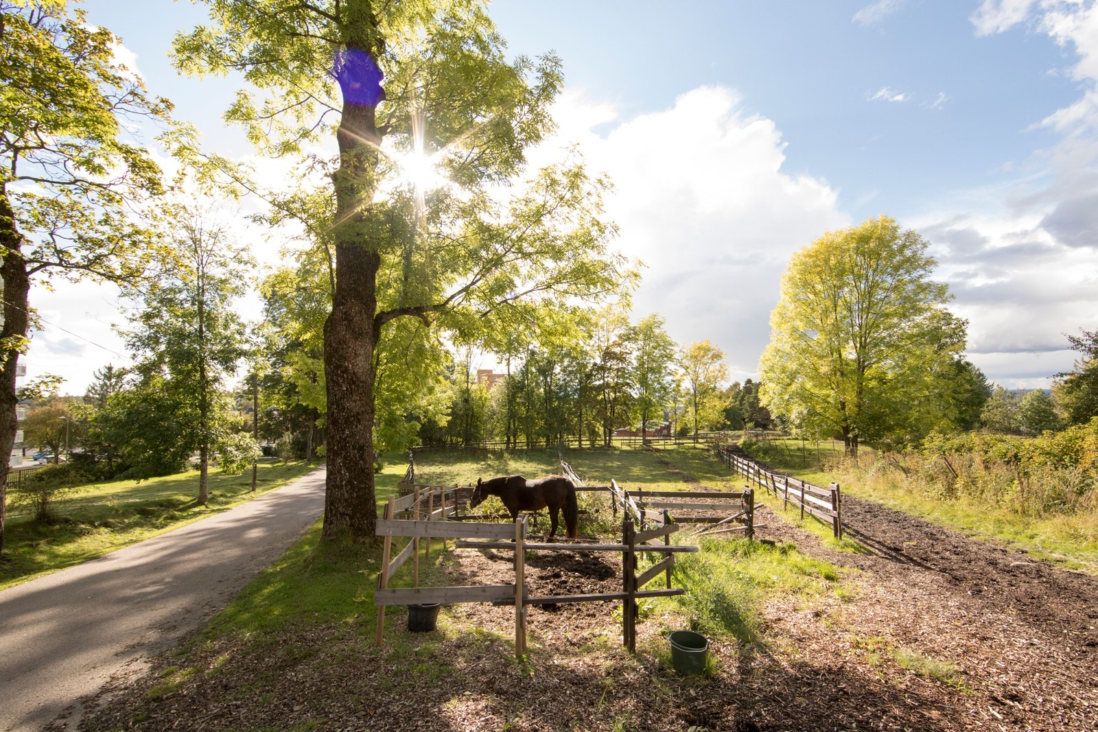 I umiddelbar nærhet finner du Tveten gård, som yrer med kulturtilbud, og dyreliv Galleribilde