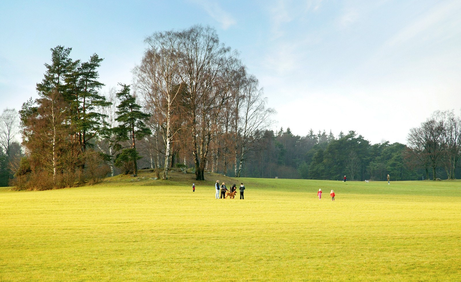 Ekebergsletta er et av flere fine turområder i området. Galleribilde