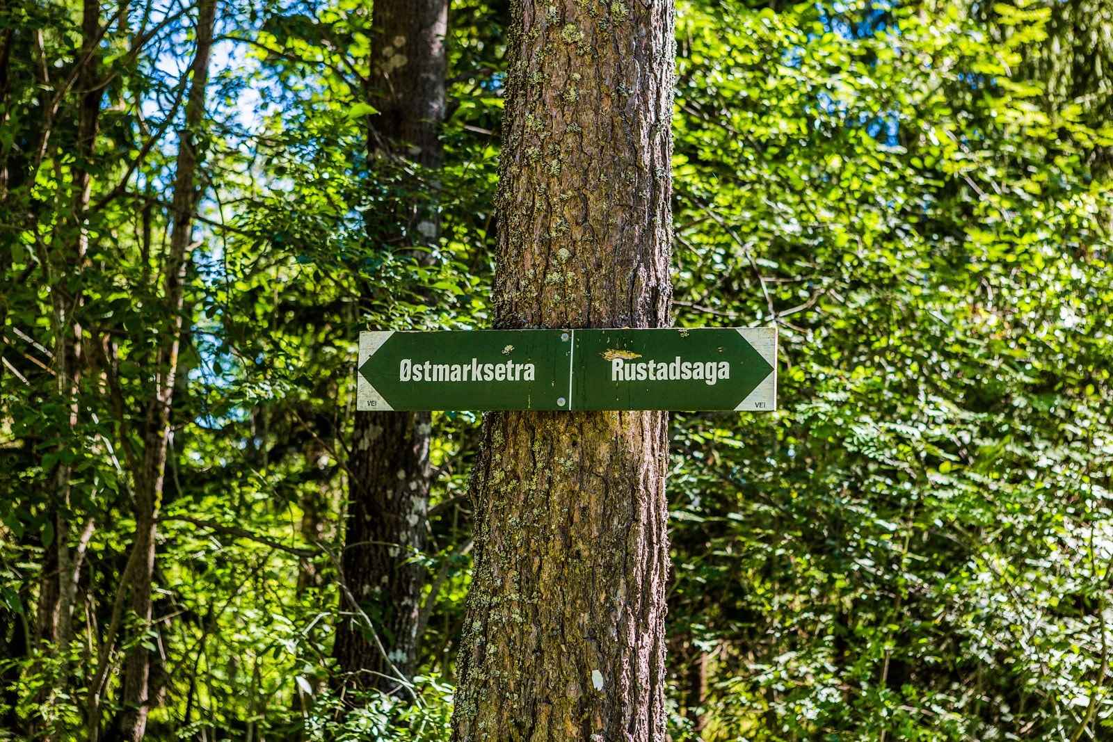 I østmarka finnes det milevis med turmuligheter sommer og vinter. Galleribilde