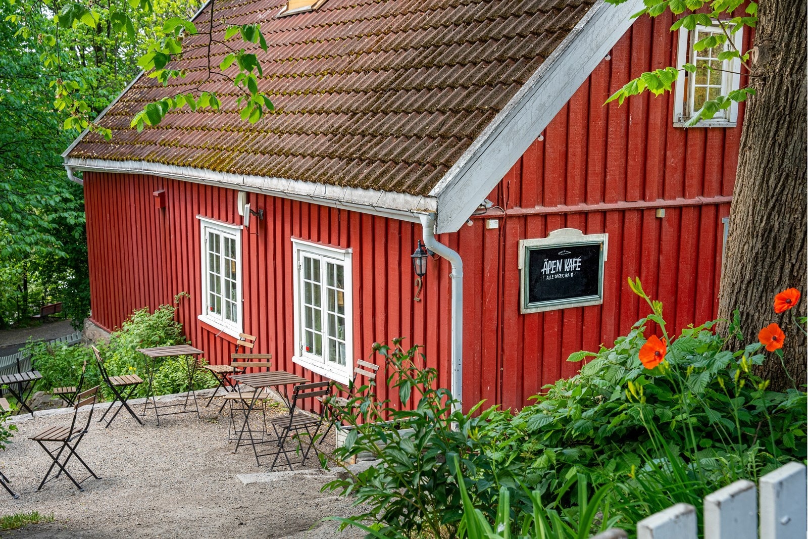 Områdebilde Galleribilde