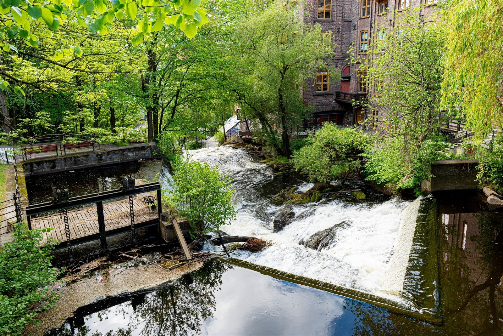 Områdebilde Galleribilde