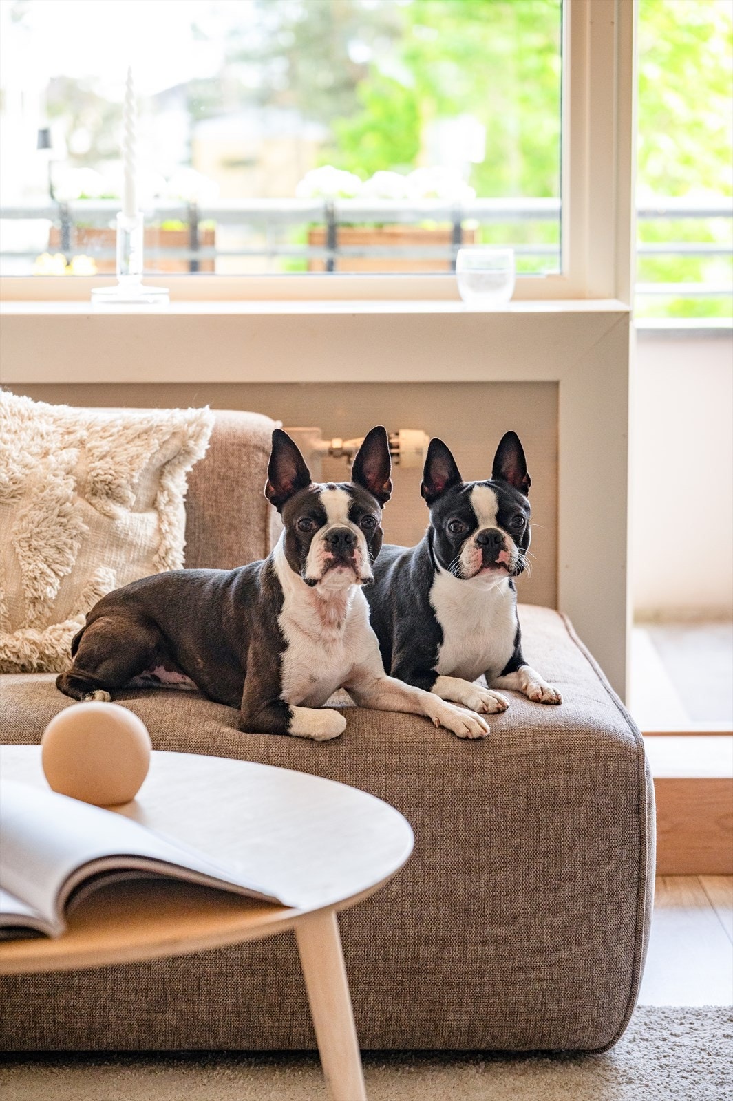 Dyrehold er også tillatt i borettslaget, noe som er et stort pluss når man bor så nærme marka. Her kan både du og dine firbente venner nyte naturen og de flotte turmulighetene. Galleribilde
