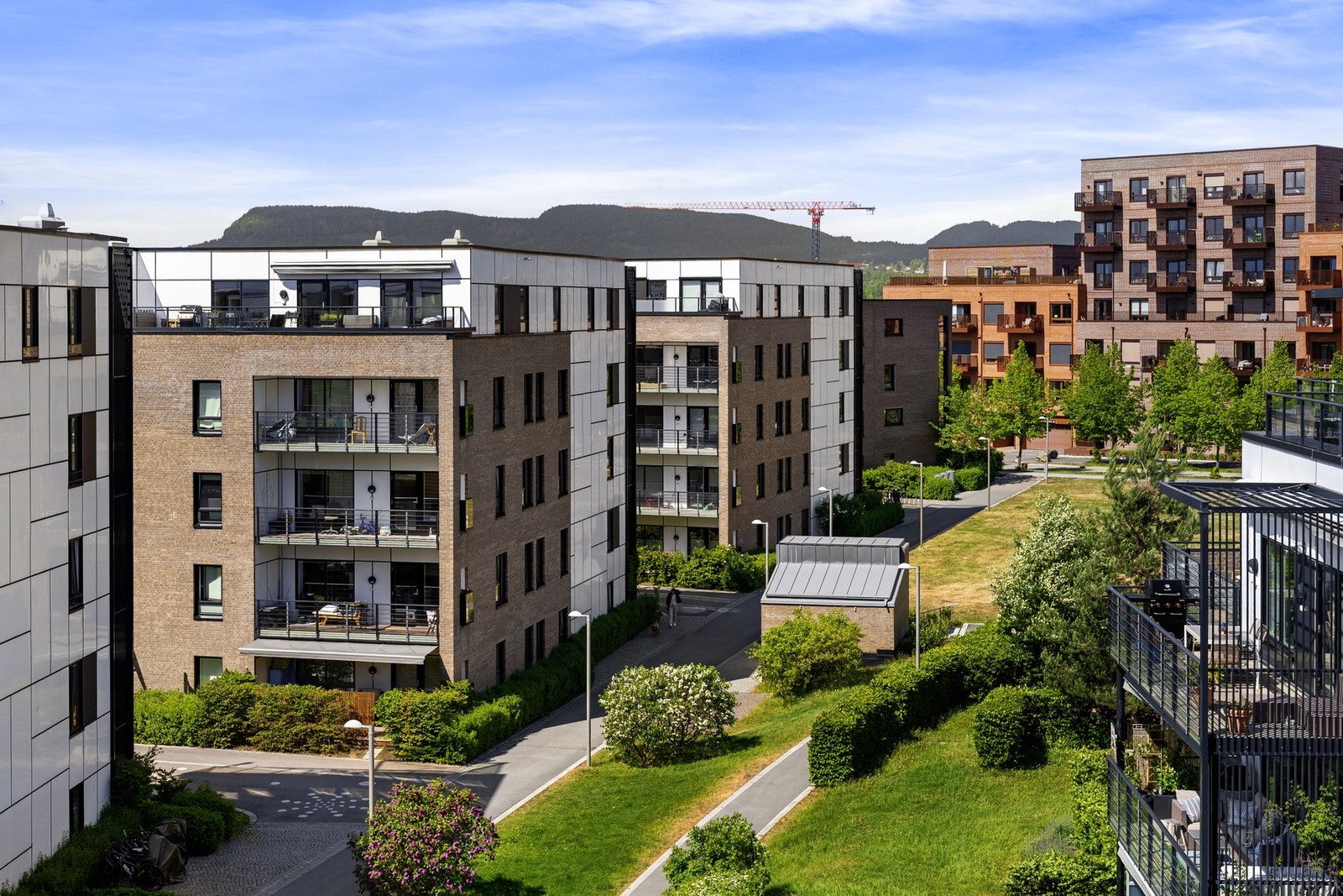 Sameiet Koksabukta Galleribilde