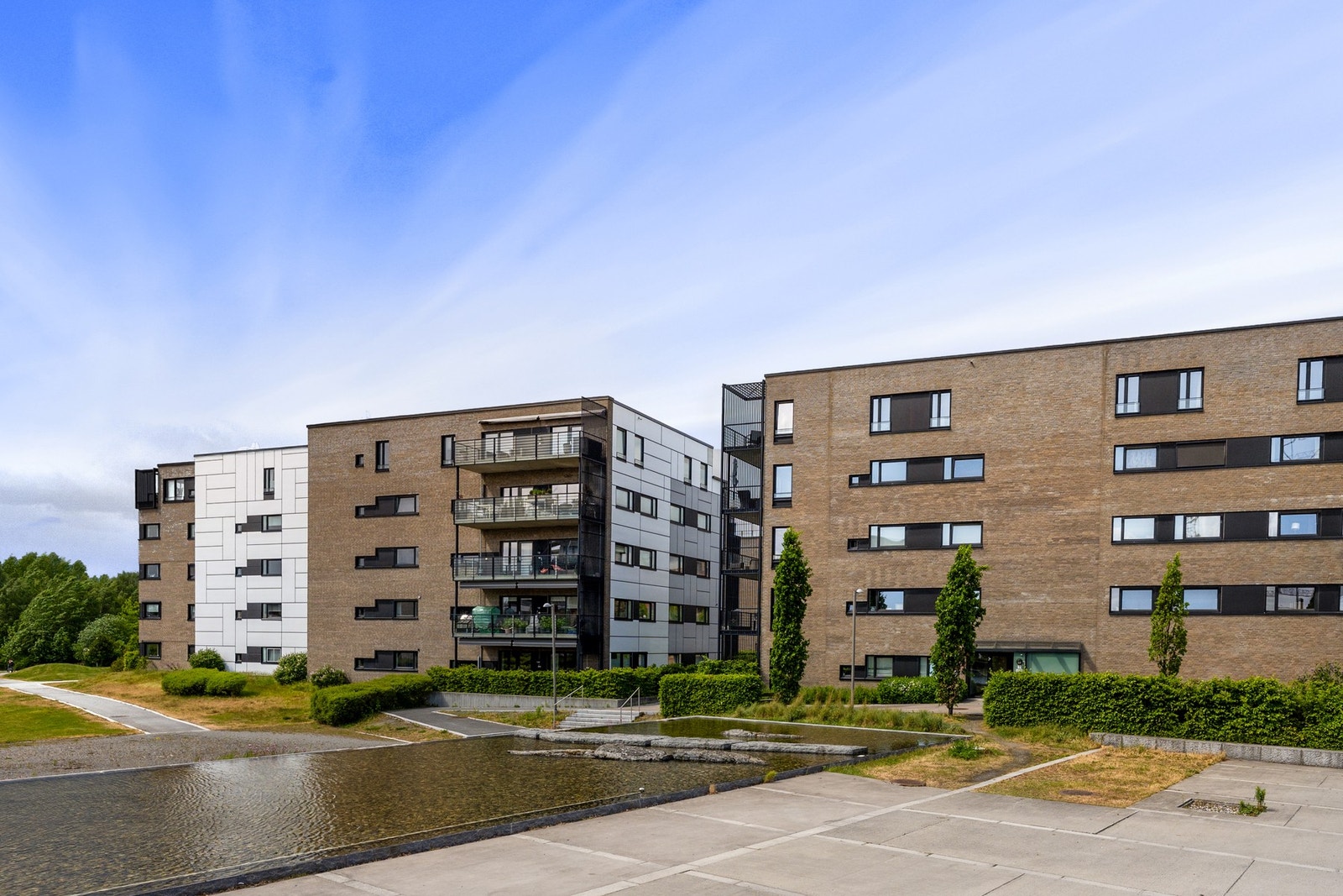 Sameiet Koksabukta Galleribilde