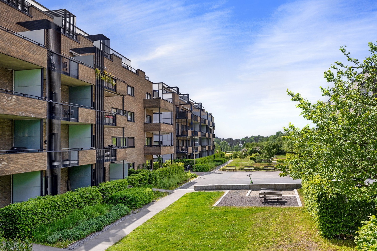 Sameiet Koksabukta Galleribilde