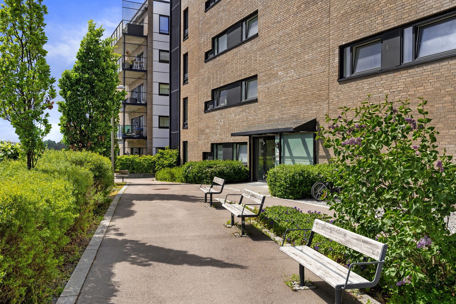 Sameiet Koksabukta Galleribilde