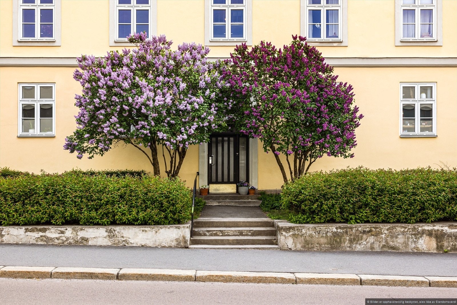 Velkommen til hyggelig 3-roms i Sofies gate 33! Galleribilde
