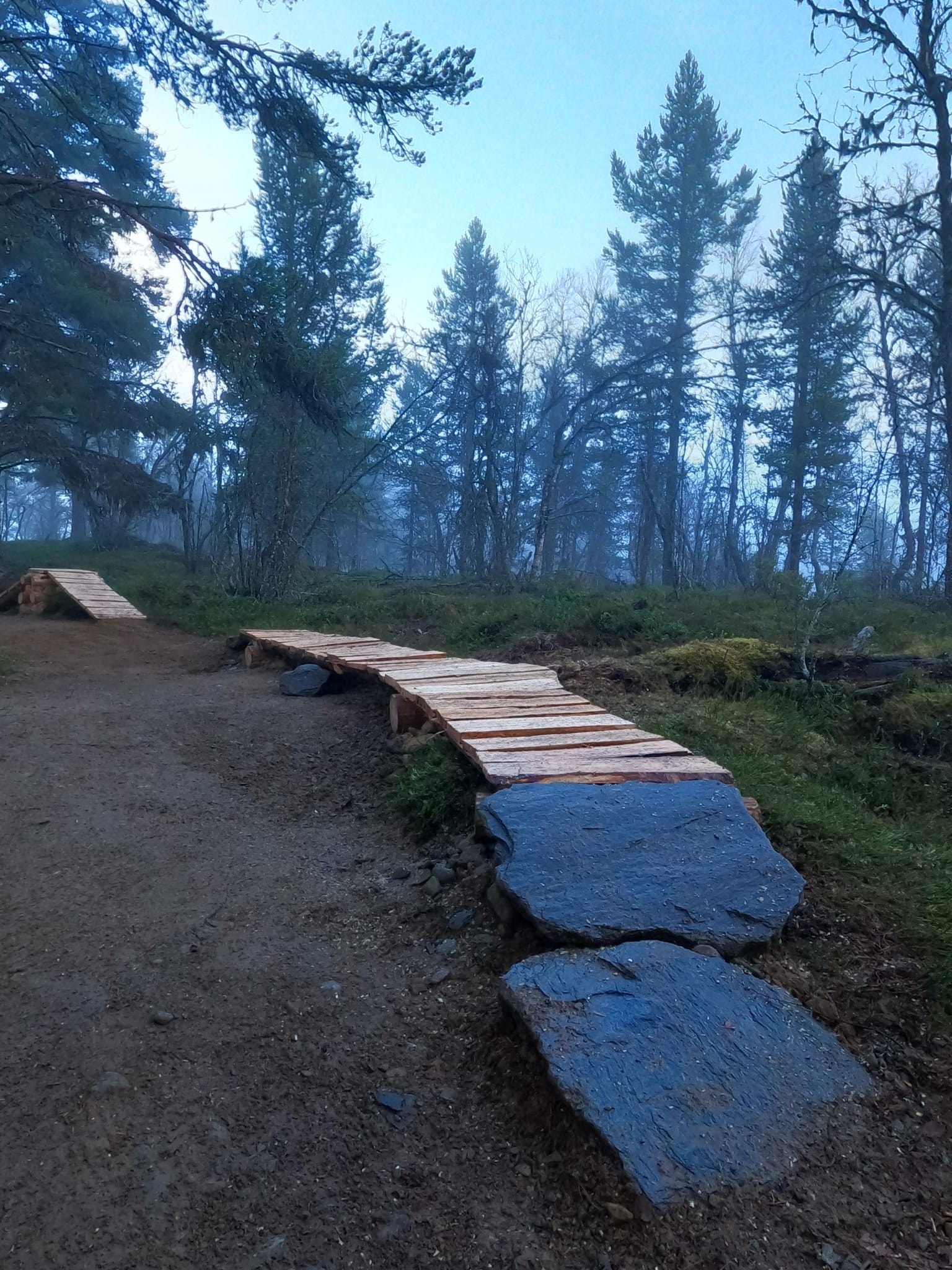 Sykkelsti på 1,3 km i kategori blå passer fint for hele familien Galleribilde