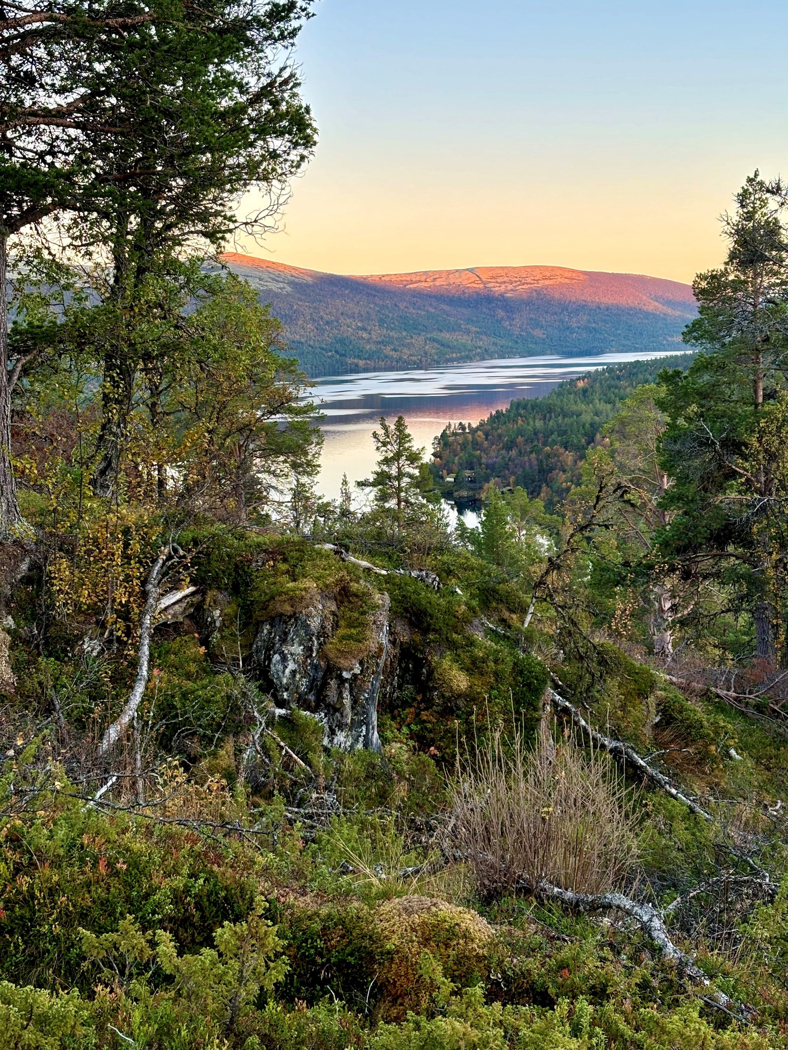 Kveldsstemning på Savalkletten fra tom 17 Galleribilde