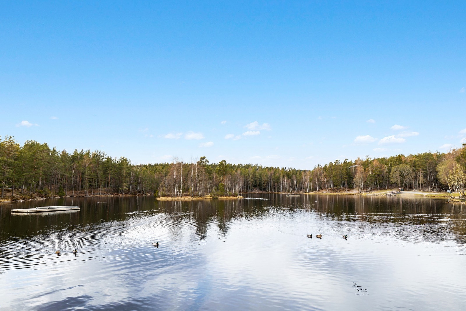 Det er flotte turmuligheter i Lillomarka. Galleribilde