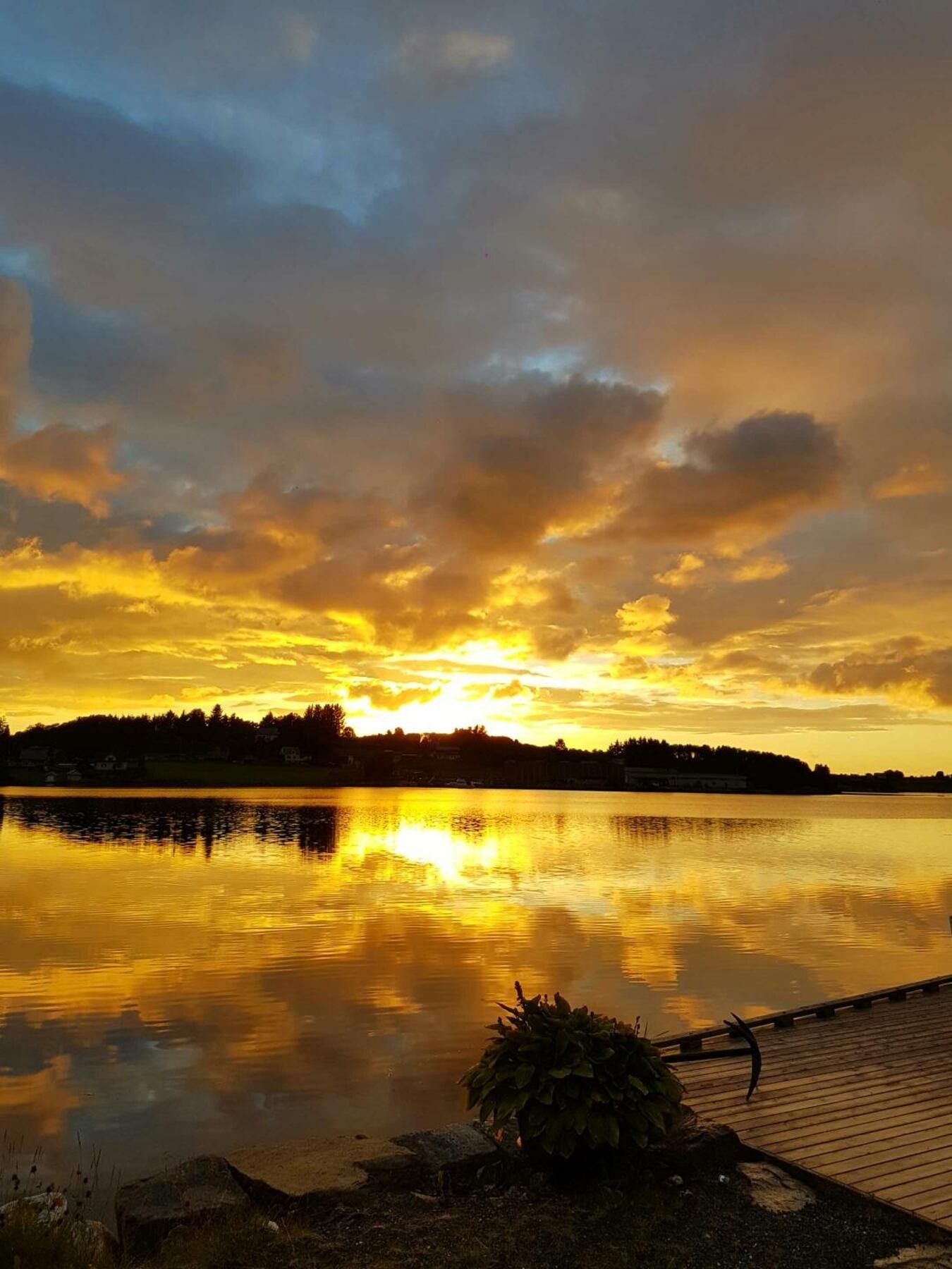 Private bilder Galleribilde