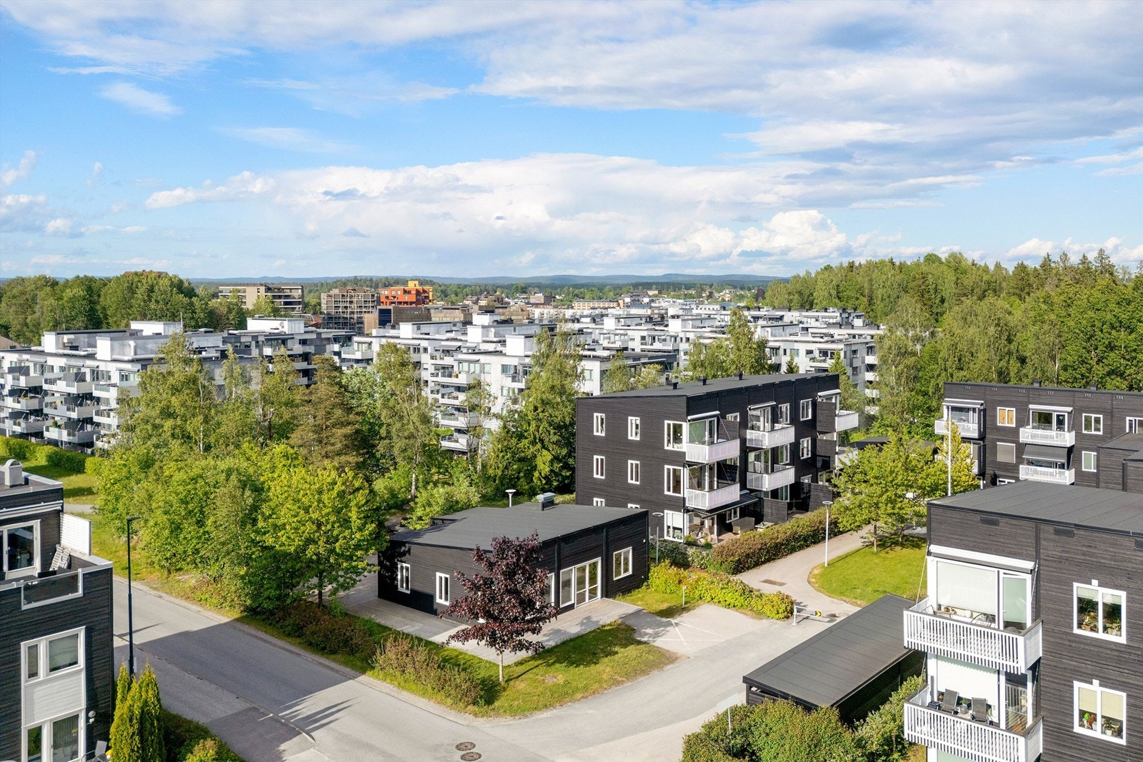 Områdebilde Galleribilde