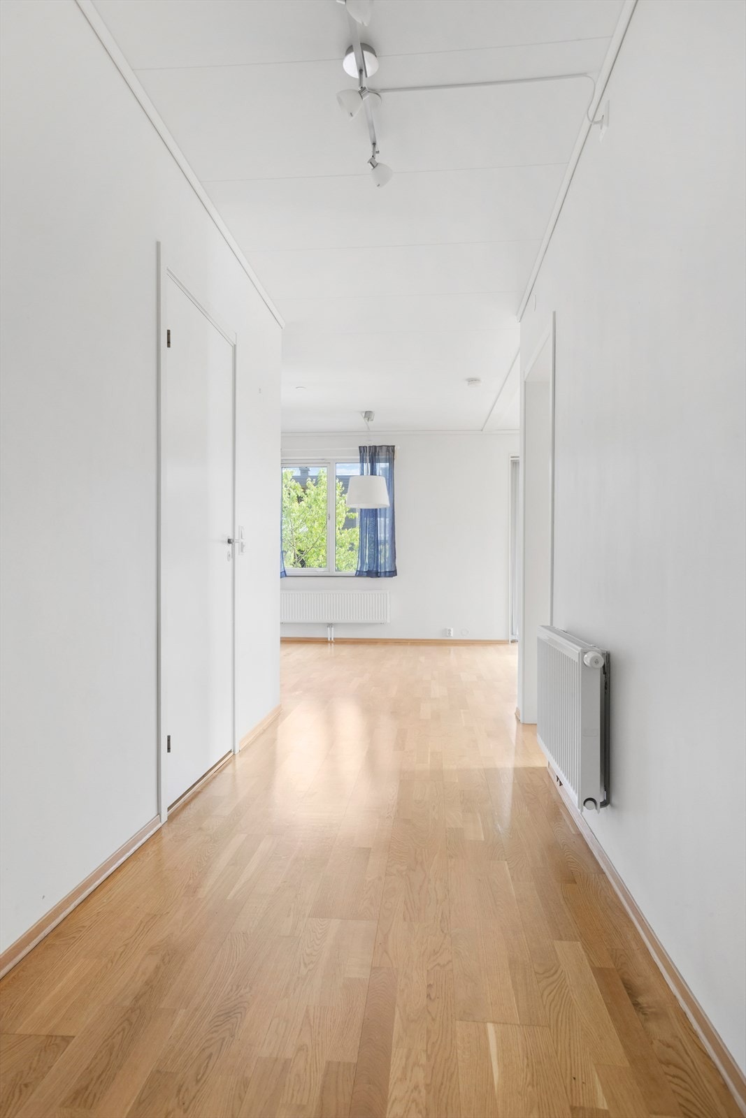 Hall Galleribilde
