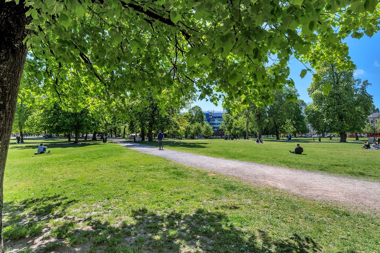 Det finnes flere flotte parker i nærområdet som Olaf Ryres plass, Birkelunden og Sofienbergparken Galleribilde