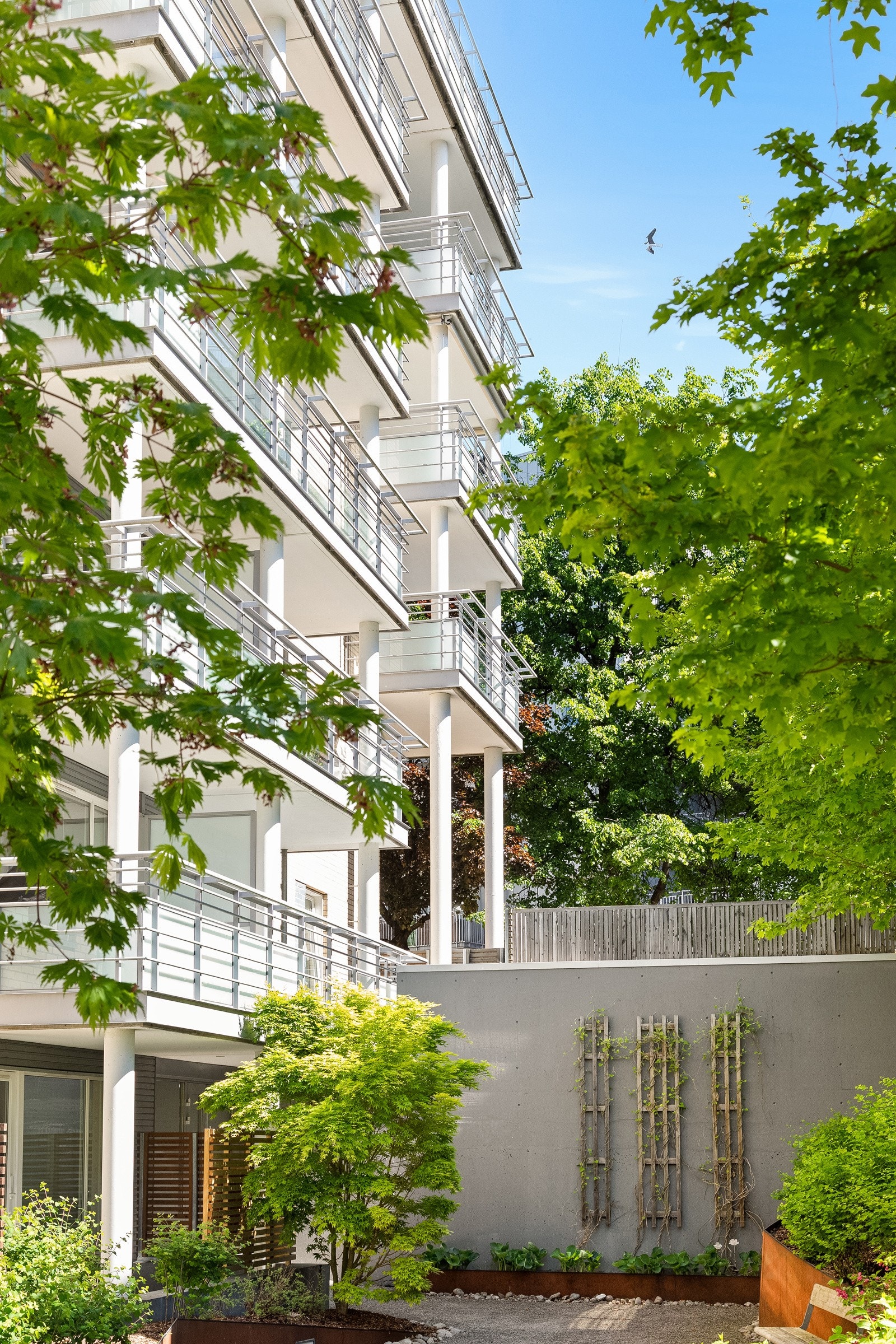 Grønt og frodig inngansparti! Galleribilde