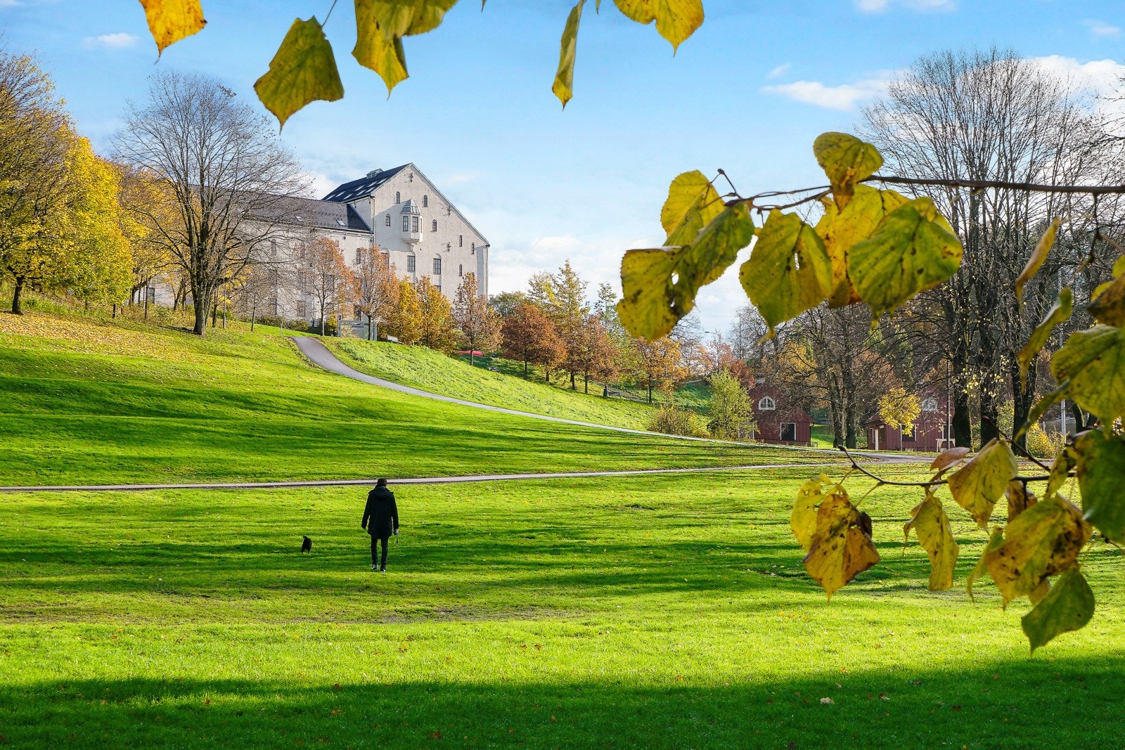 En av mange nærliggende parker Galleribilde