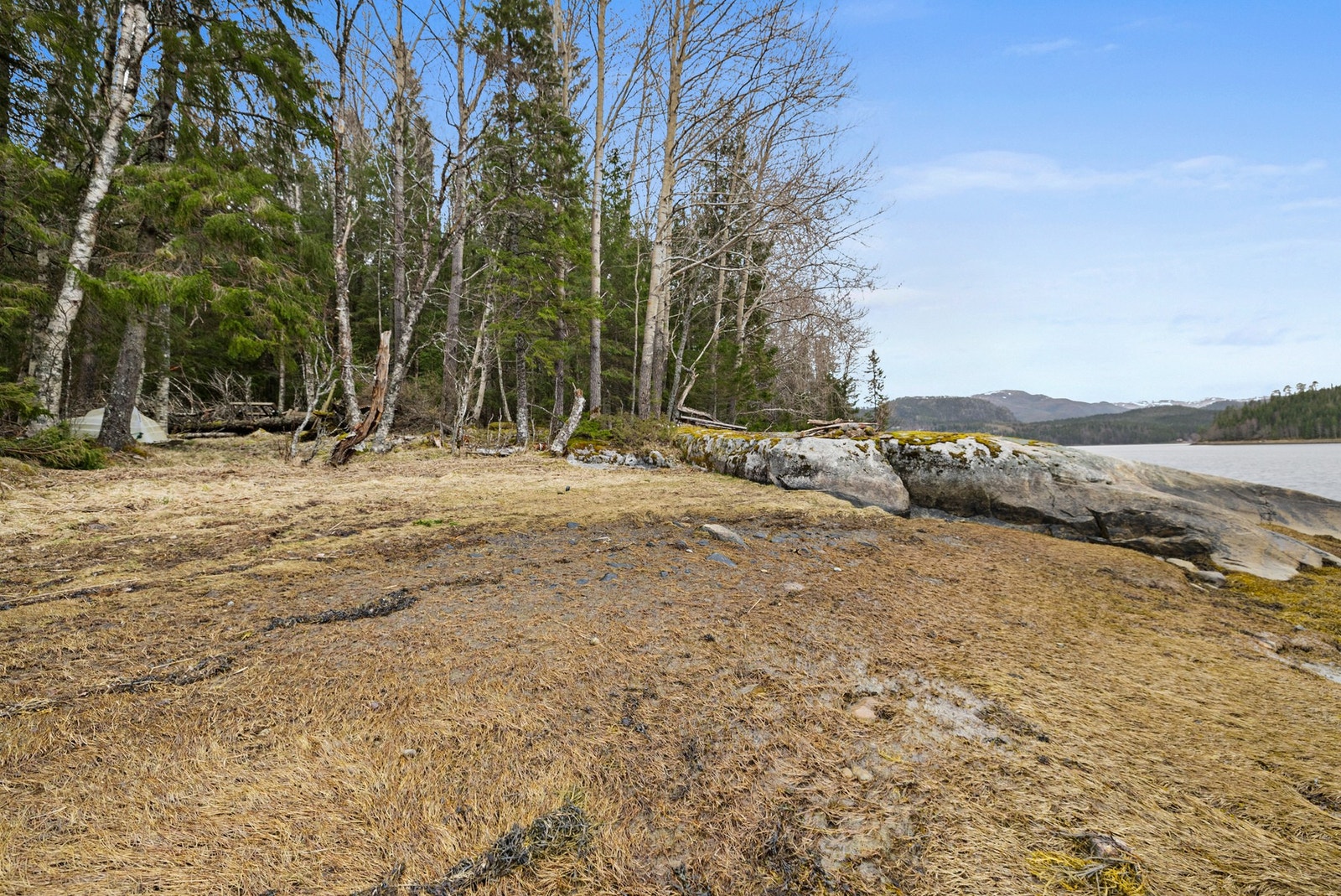 Nærområdet Galleribilde