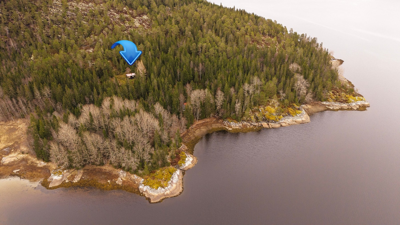 Fra hytten er det ca. 200 meter med gangsti ned til sjøen Galleribilde