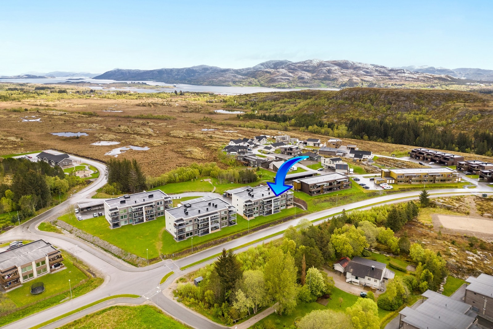 Velkommen til en hyggelig visning! Galleribilde