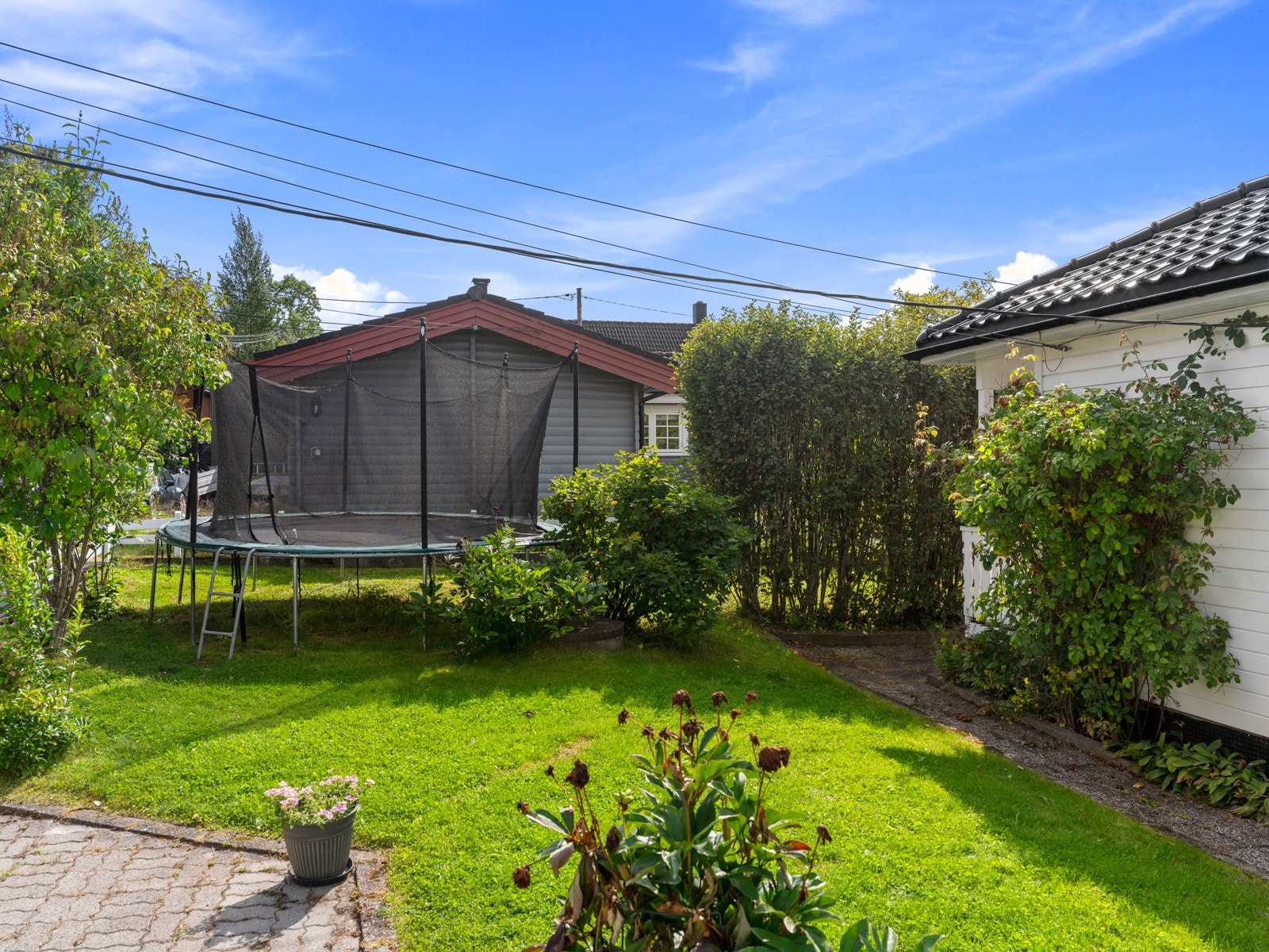 Trampoline på fremsiden av huset. Galleribilde