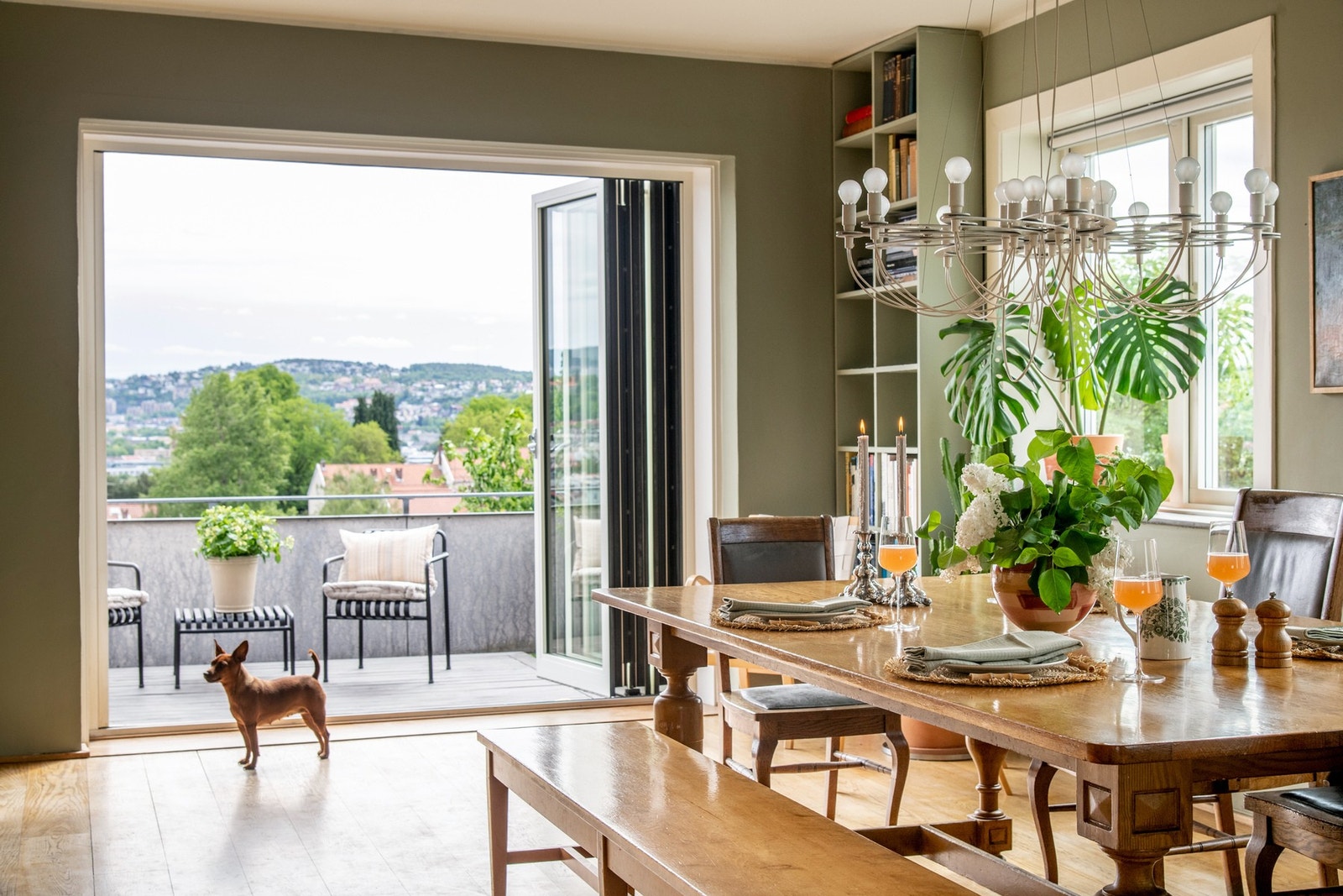 Hundehold er hjertelig velkommen! Galleribilde