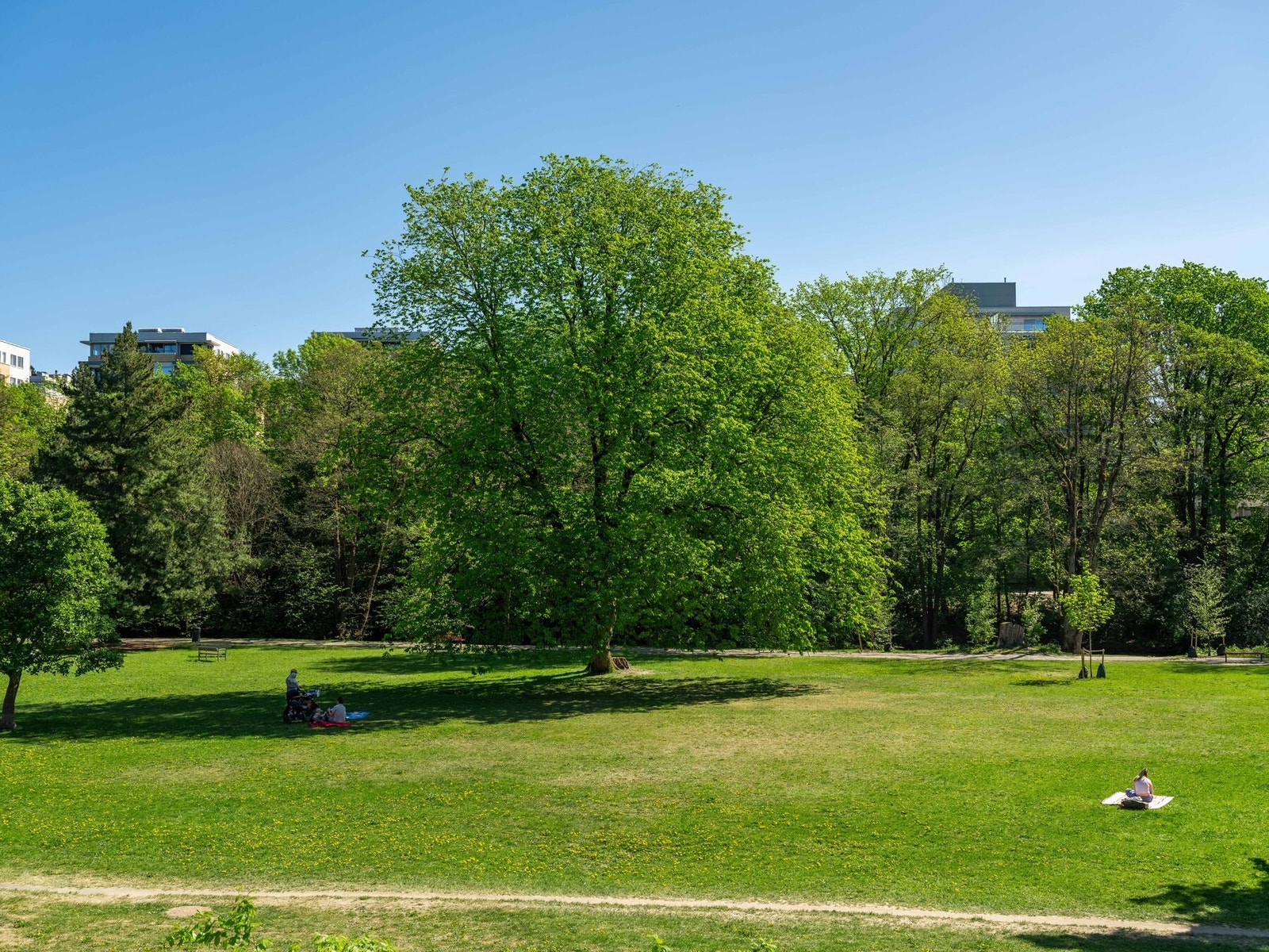Tenk at dette er utsynet du kan nyte både fra balkongen og fra inne i leiligheten. Ganske så fint, ikke sant? Galleribilde