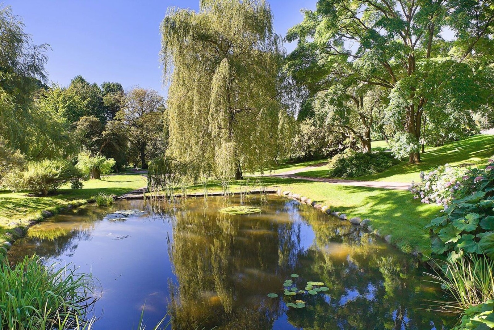 En rolig tur i Botanisk hage kun minutter unna leiligheten. Galleribilde