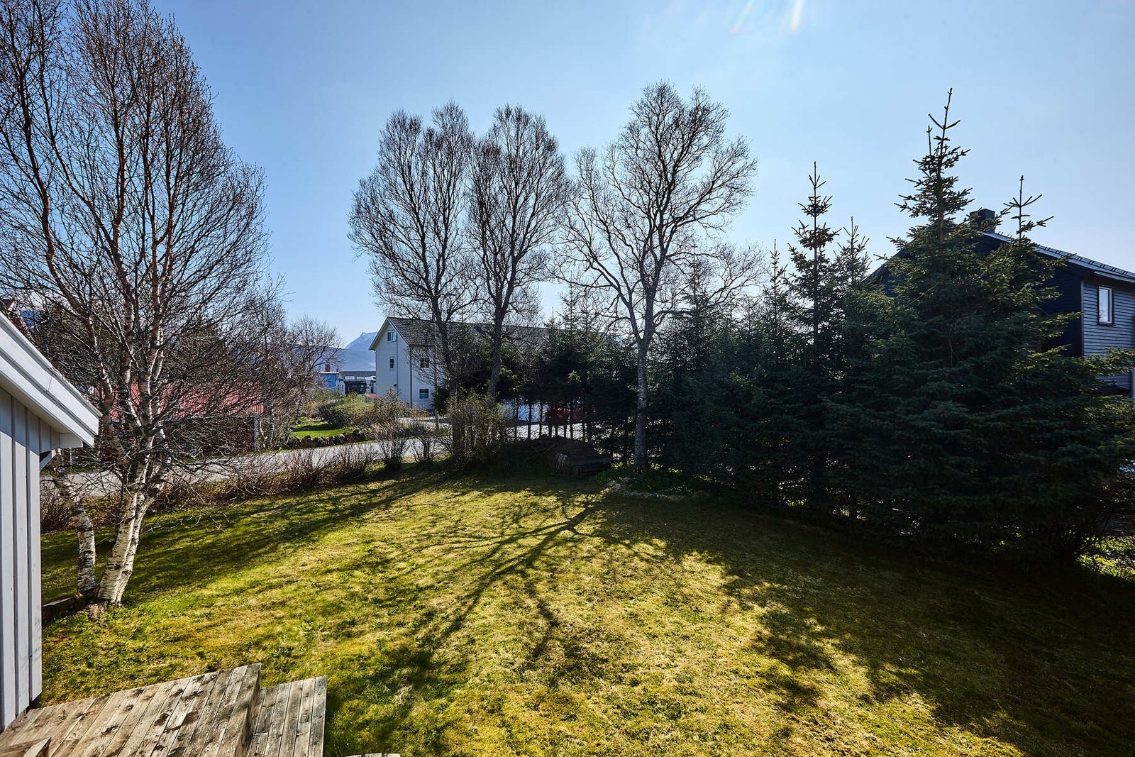 Skjermet hage mot sør. Galleribilde