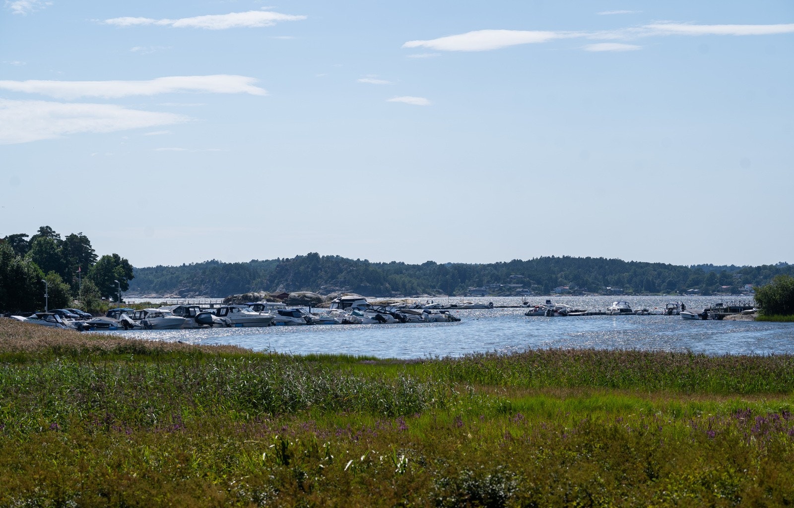 Områdebilde Galleribilde