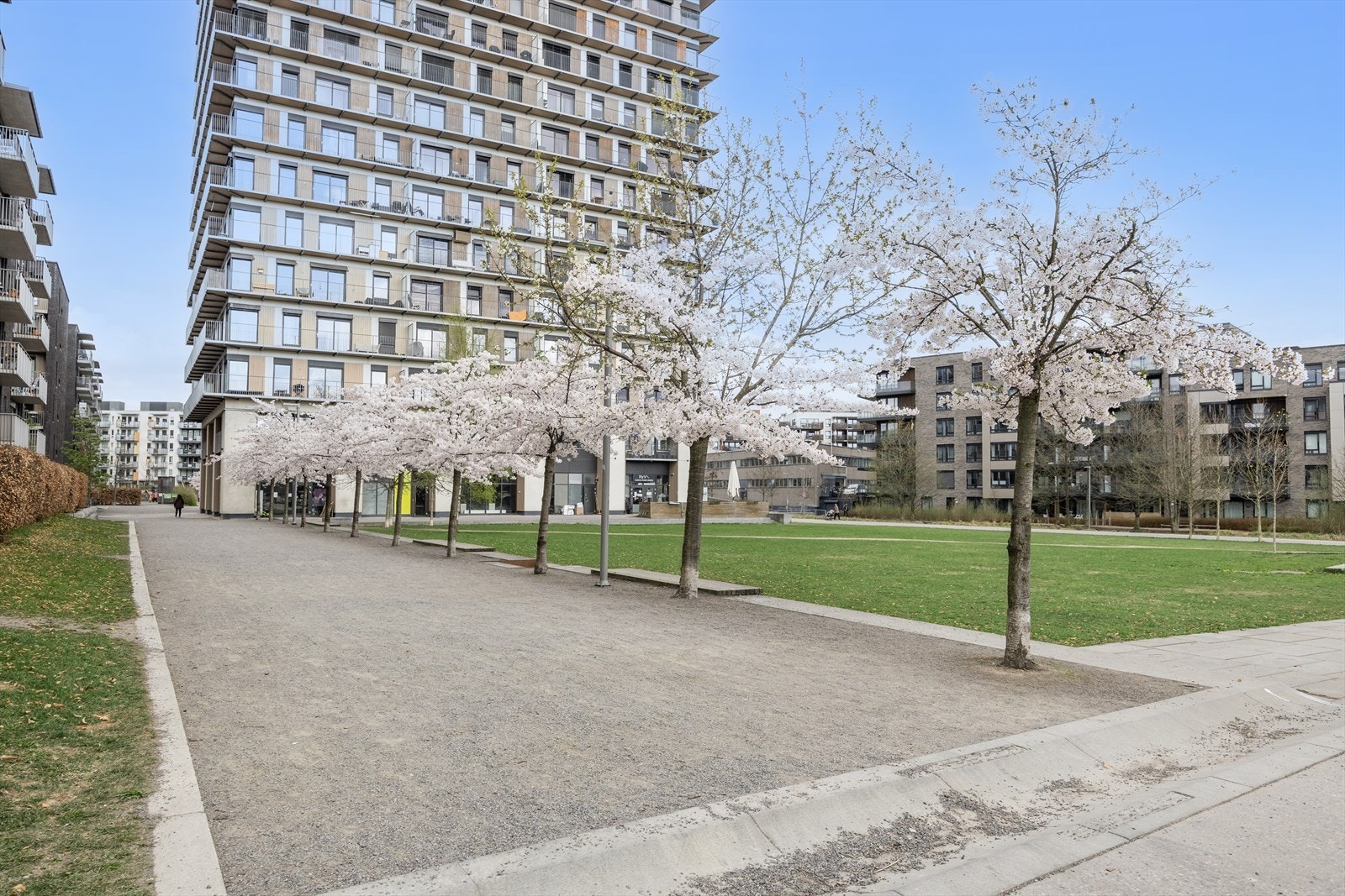 Pent opparbeidet nærområder. Galleribilde