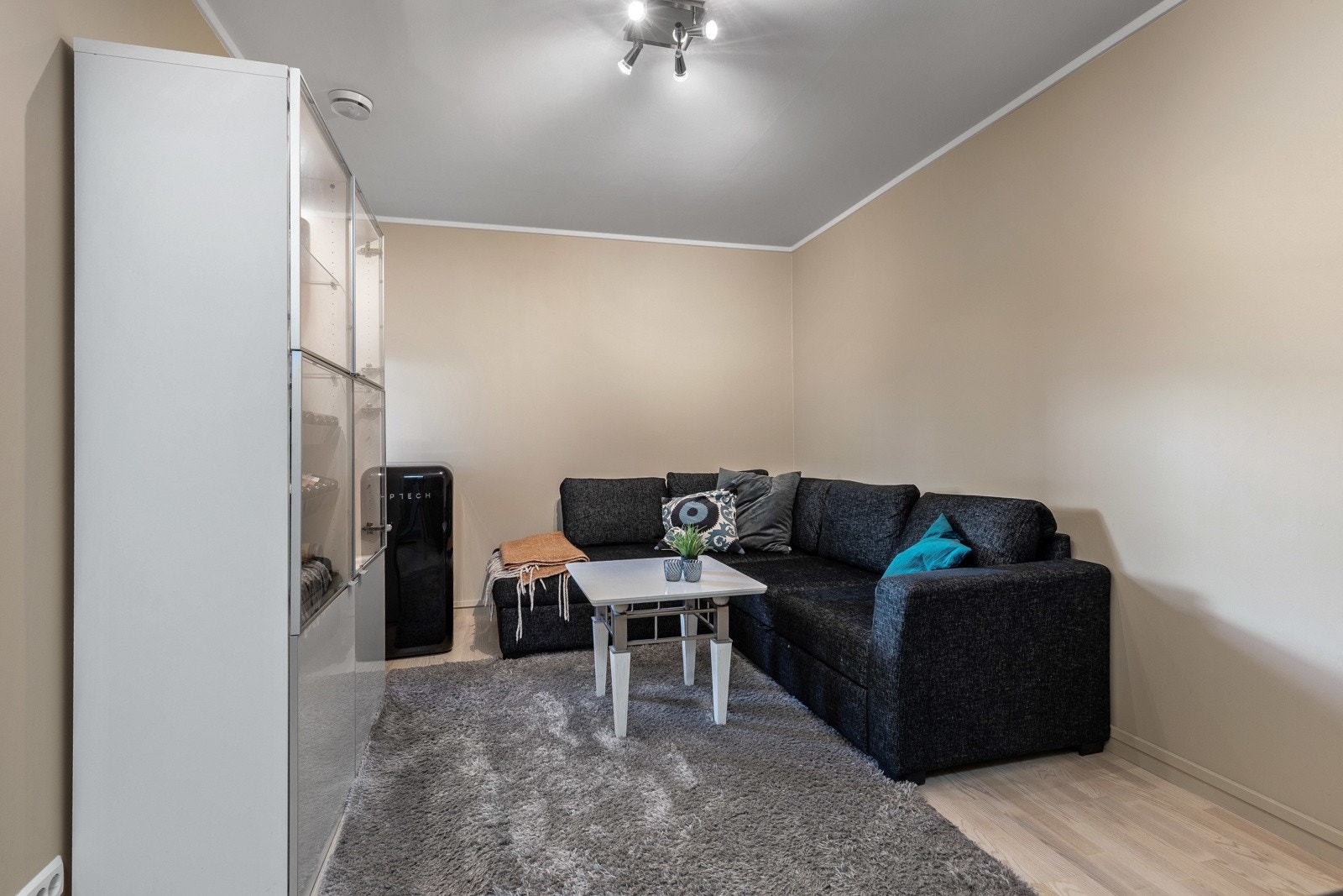 Lys stue med sofa, teppe og skap. Galleribilde