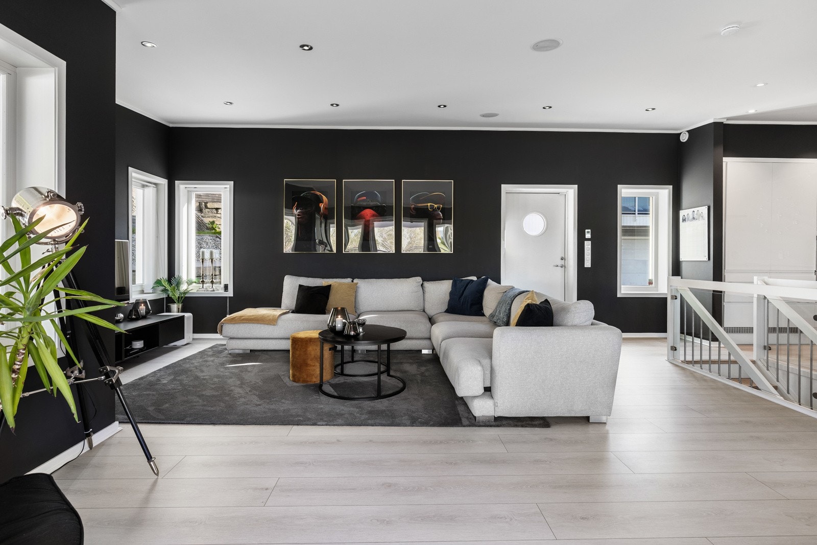 Romslig stue med lys parkett, mørke vegger og flere vinduer som gir godt med naturlig lys. Galleribilde