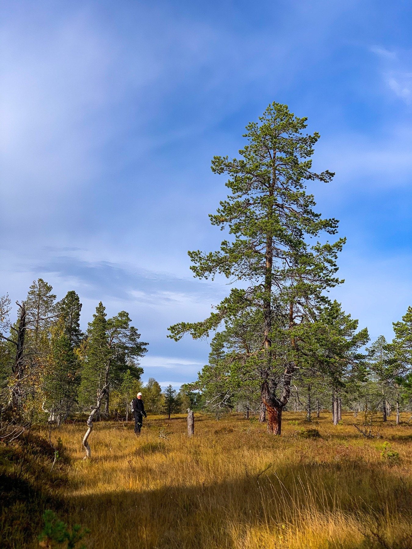 EIE eiendomsmegling Galleribilde
