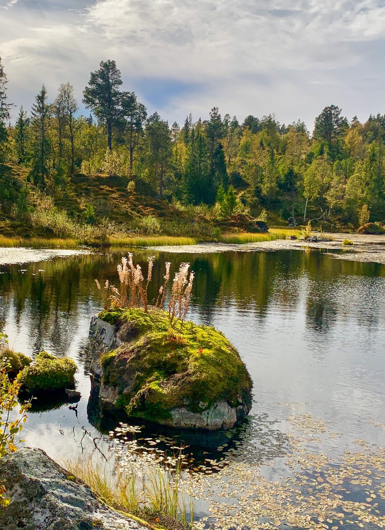 EIE eiendomsmegling Galleribilde