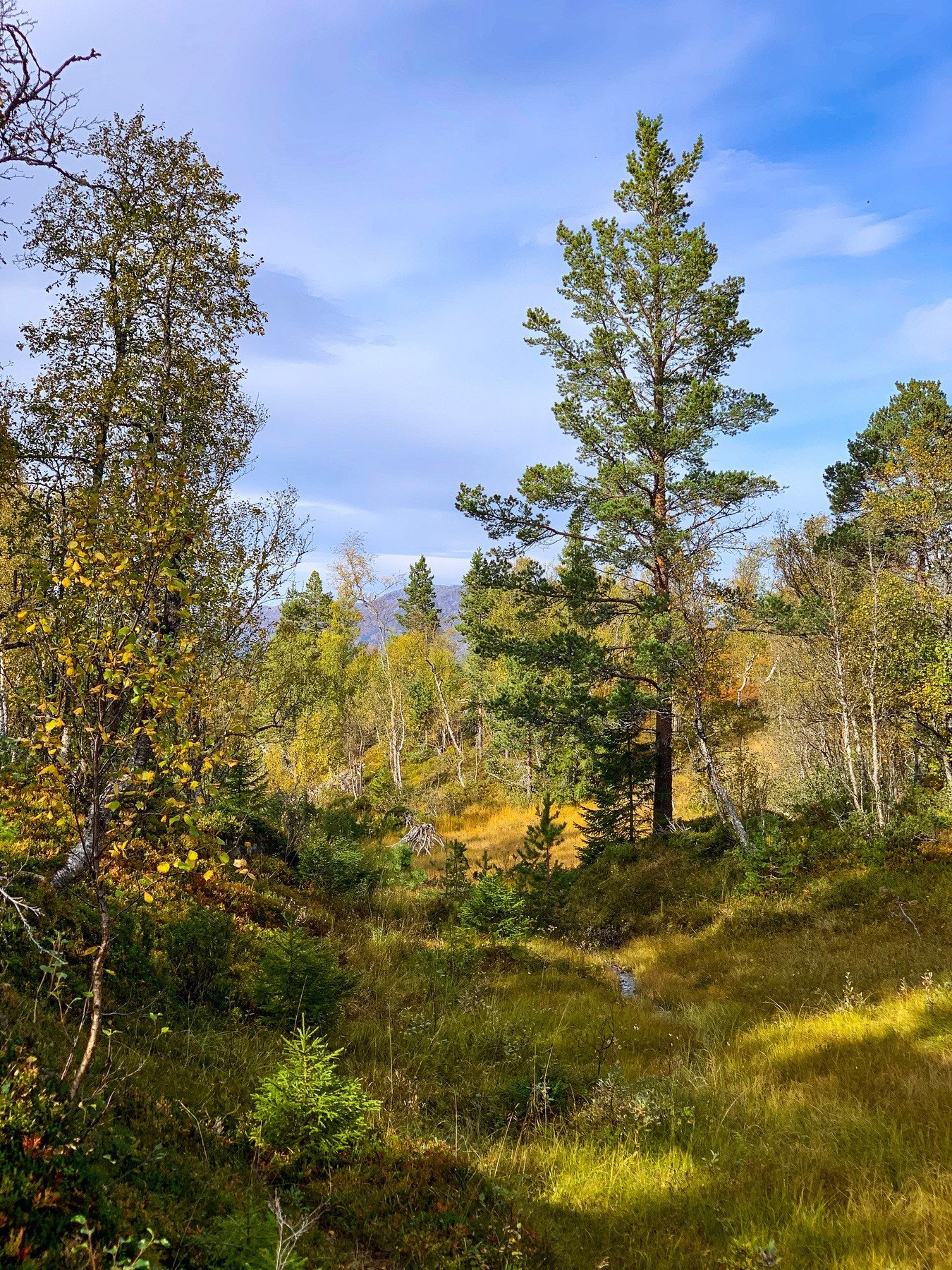 EIE eiendomsmegling Galleribilde