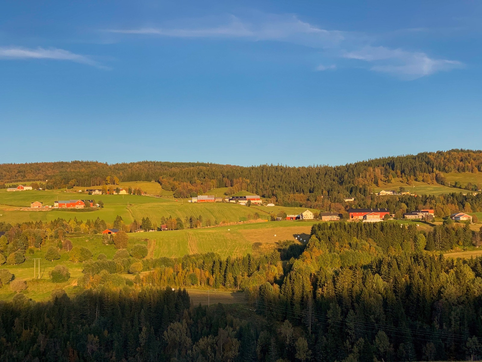EIE eiendomsmegling Galleribilde