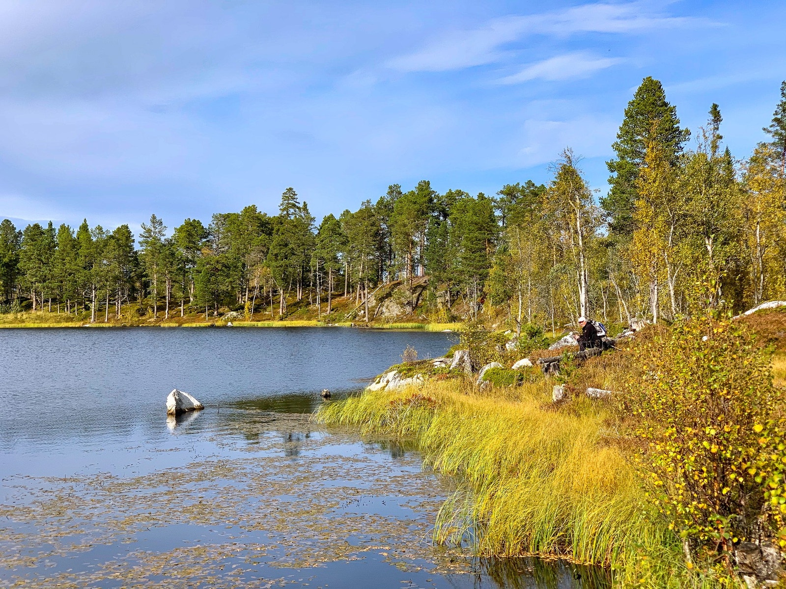 Bilder tatt av selger Galleribilde