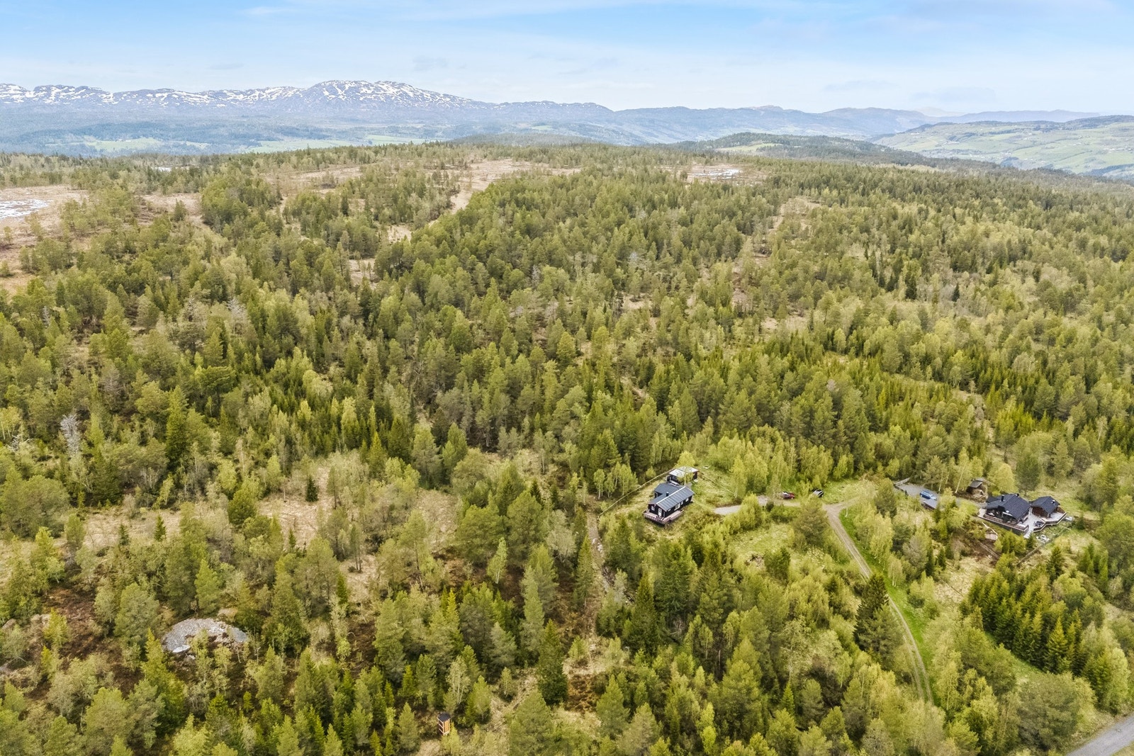 EIE eiendomsmegling Galleribilde