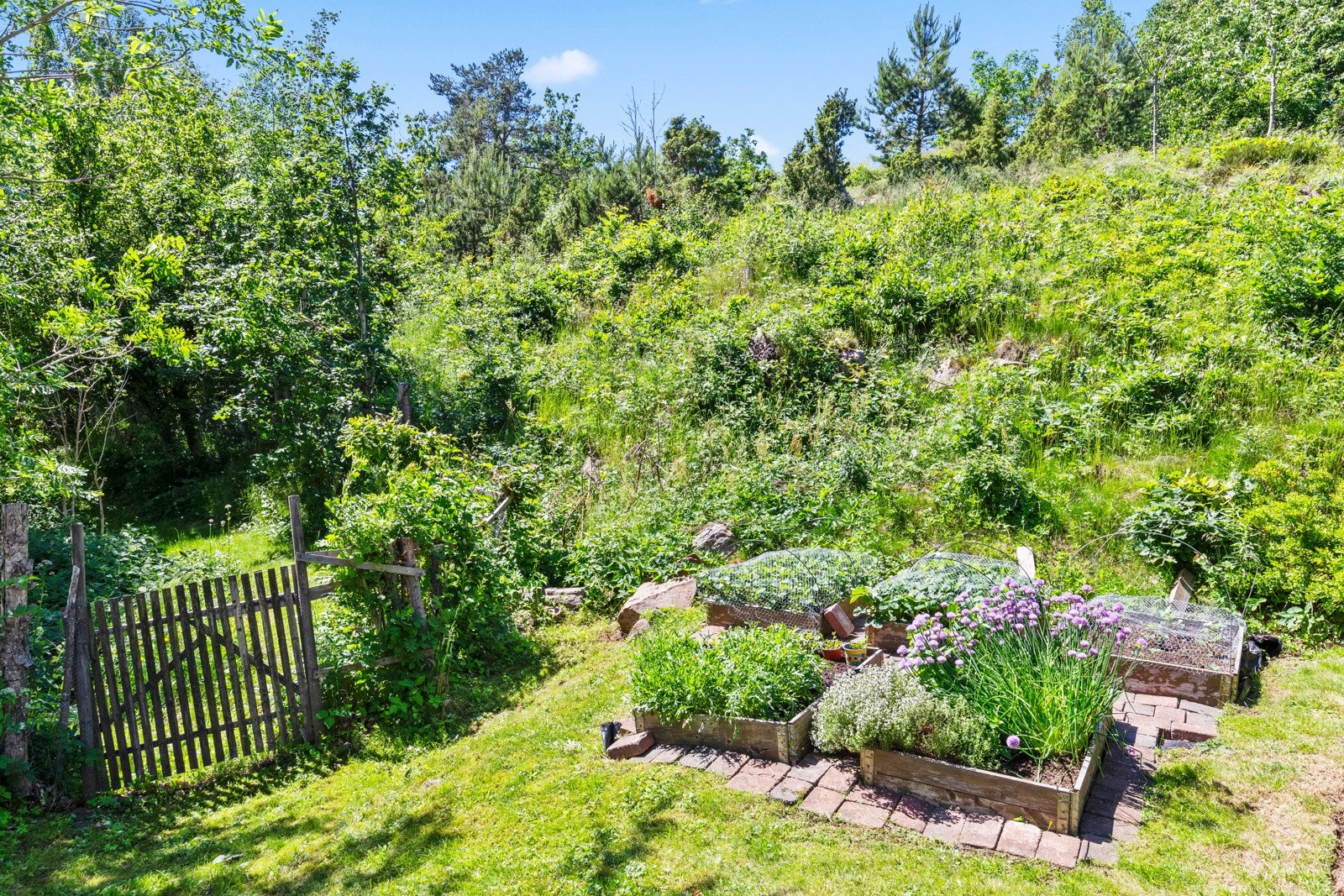 Det er opparbeidet med urtehage og en eplehage på eiendommen. Galleribilde