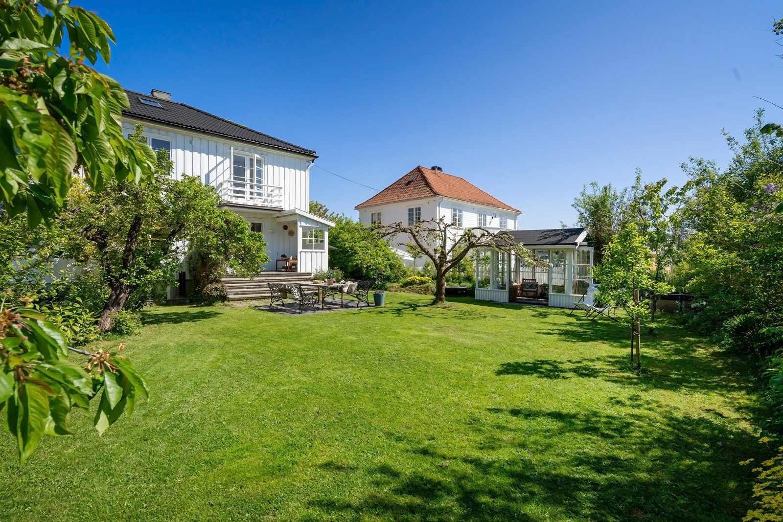 Ramsløk og markjordbær spretter opp i hagen hvert år, og bidrar til begeistring. Galleribilde