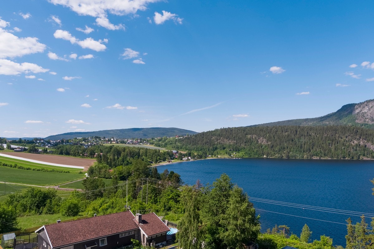 Utsikt fra tomten. Galleribilde